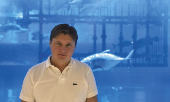 I feel very comfortable working with Kraft