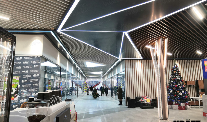 As for yourself: which false ceilings are chosen by professionals in the construction business