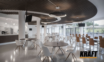 Cubic rail concentric circles on the ceiling? Nothing complicated! (+4 photo)