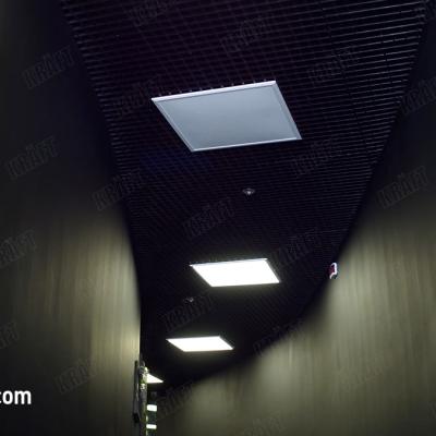 Exite Games143048555